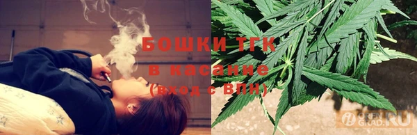 Альфа ПВП Аркадак