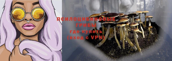 винт Арсеньев