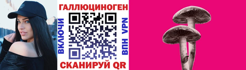 shop как зайти  Верхняя Салда  Псилоцибиновые грибы мицелий  наркота  MEGA маркетплейс 
